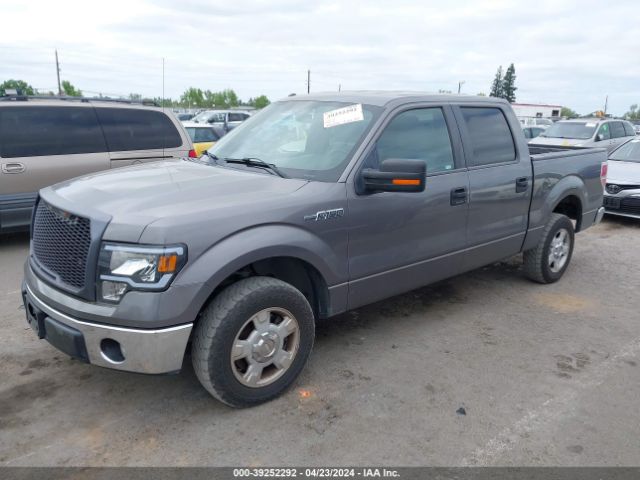 Photo 1 VIN: 1FTFW1CF1CFD00694 - FORD F-150 