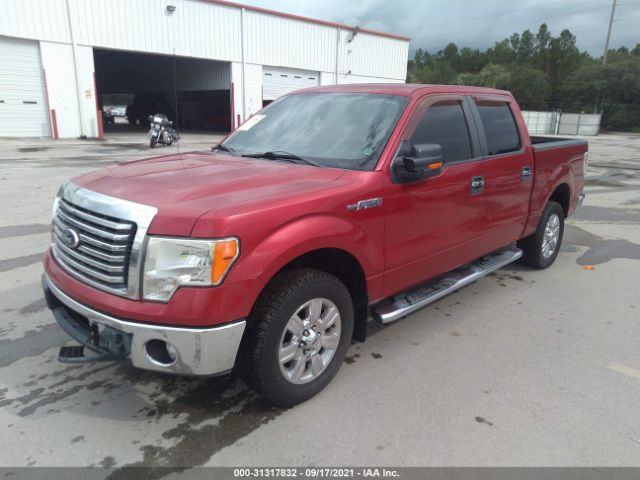 Photo 1 VIN: 1FTFW1CF2BFC86030 - FORD F-150 