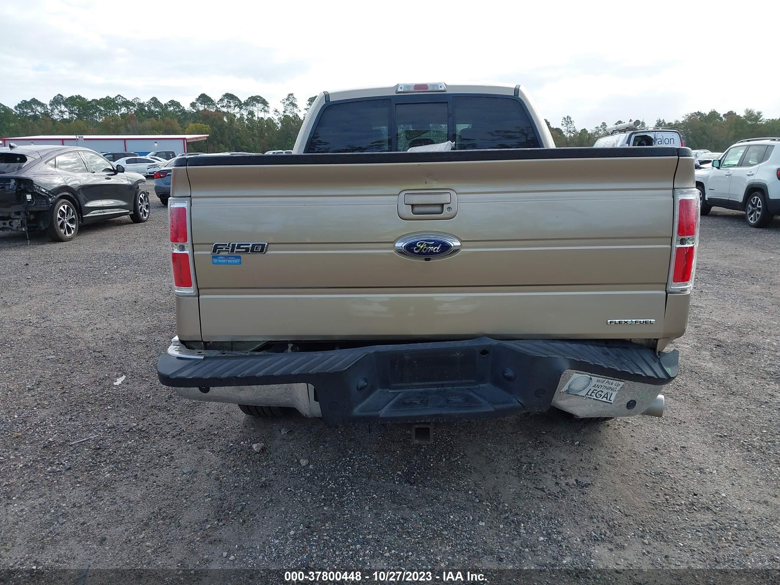 Photo 14 VIN: 1FTFW1CF2DFB63377 - FORD F-150 