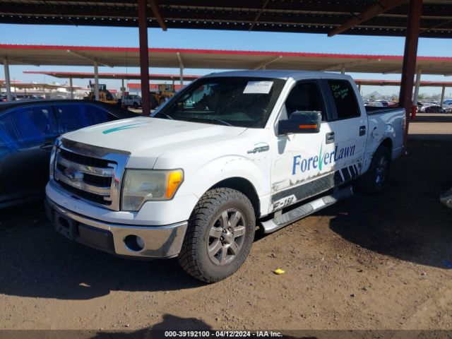 Photo 1 VIN: 1FTFW1CF2DFD40851 - FORD F150 