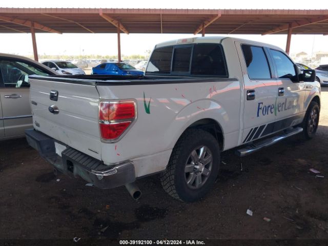 Photo 3 VIN: 1FTFW1CF2DFD40851 - FORD F150 