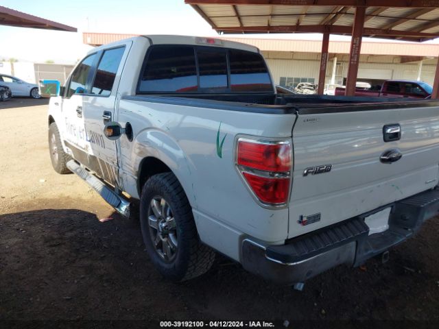 Photo 5 VIN: 1FTFW1CF2DFD40851 - FORD F150 