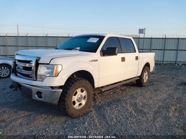 Photo 1 VIN: 1FTFW1CF2EFB03388 - FORD F-150 