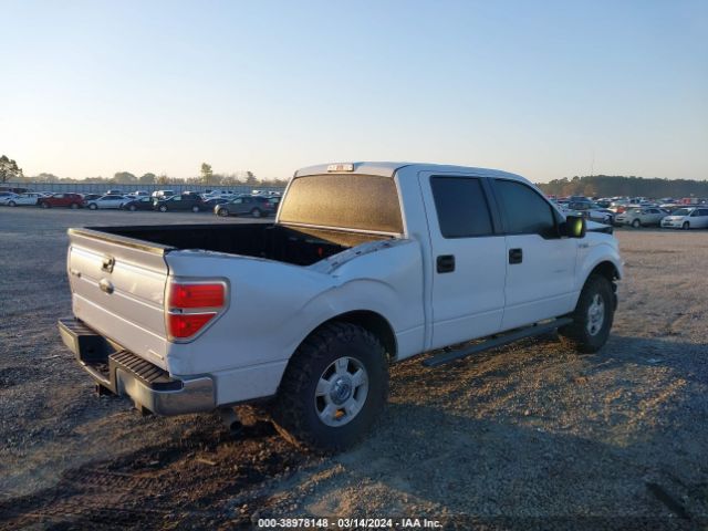 Photo 3 VIN: 1FTFW1CF2EFB03388 - FORD F-150 