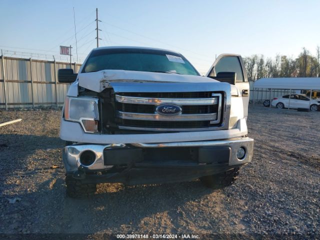 Photo 5 VIN: 1FTFW1CF2EFB03388 - FORD F-150 