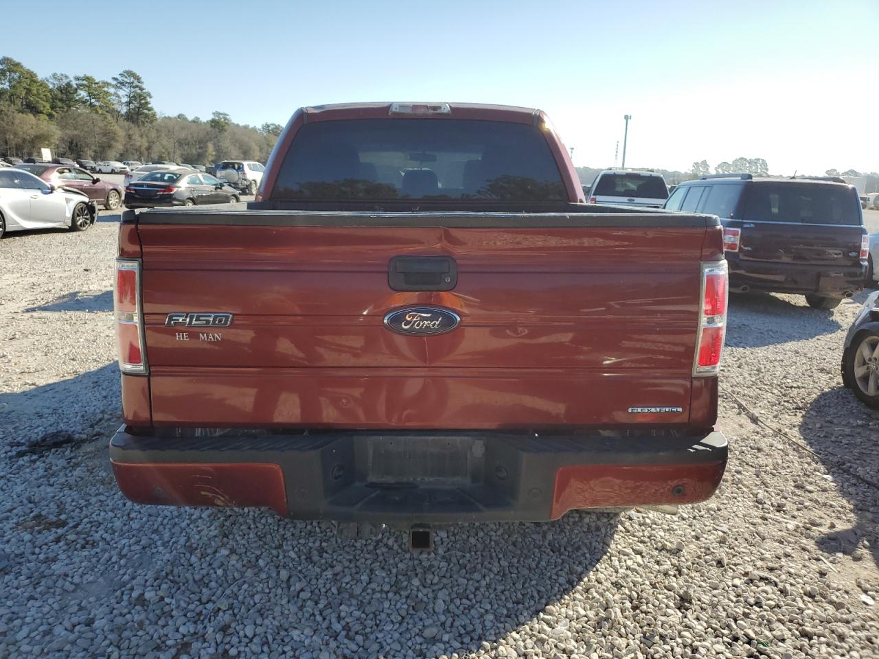 Photo 5 VIN: 1FTFW1CF2EKD37439 - FORD F-150 