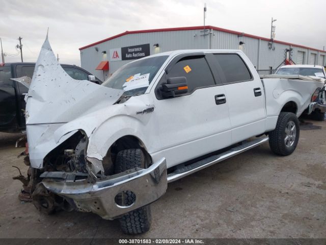 Photo 1 VIN: 1FTFW1CF2EKG02862 - FORD F-150 