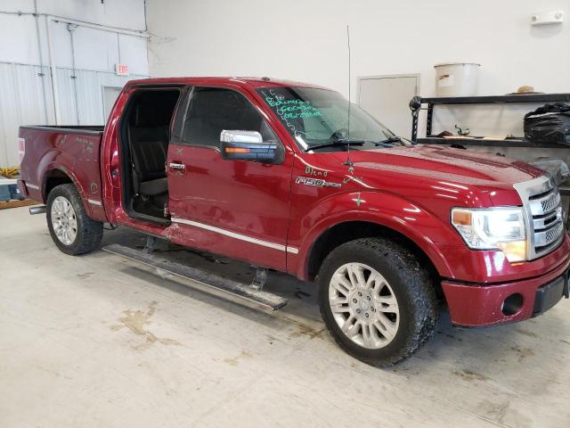 Photo 8 VIN: 1FTFW1CF3DFB29660 - FORD F150 SUPER 