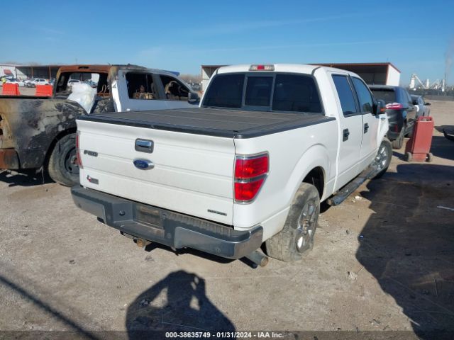 Photo 3 VIN: 1FTFW1CF3DKD23984 - FORD F-150 