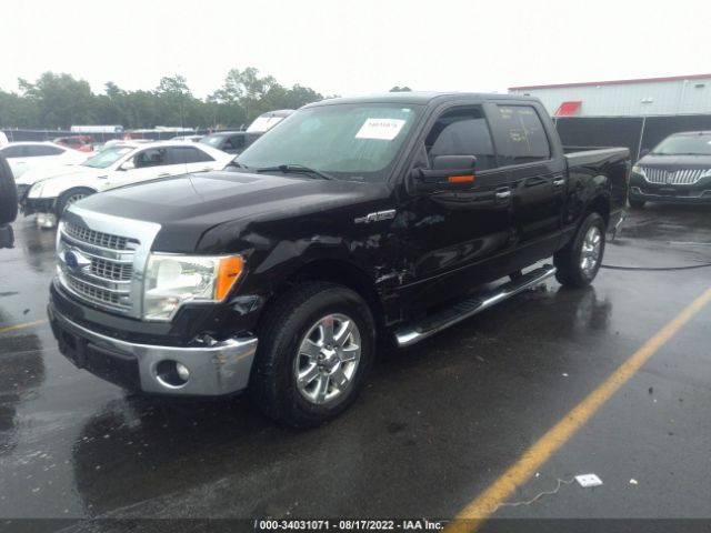 Photo 1 VIN: 1FTFW1CF3EKD04398 - FORD F-150 