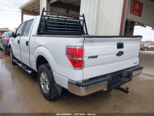 Photo 2 VIN: 1FTFW1CF3EKD46540 - FORD F-150 