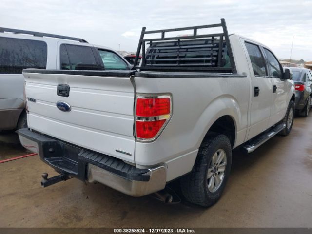 Photo 3 VIN: 1FTFW1CF3EKD46540 - FORD F-150 