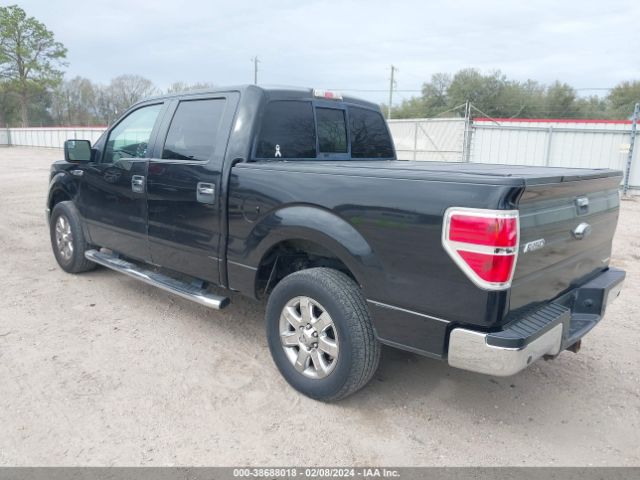 Photo 2 VIN: 1FTFW1CF3EKE94672 - FORD F-150 