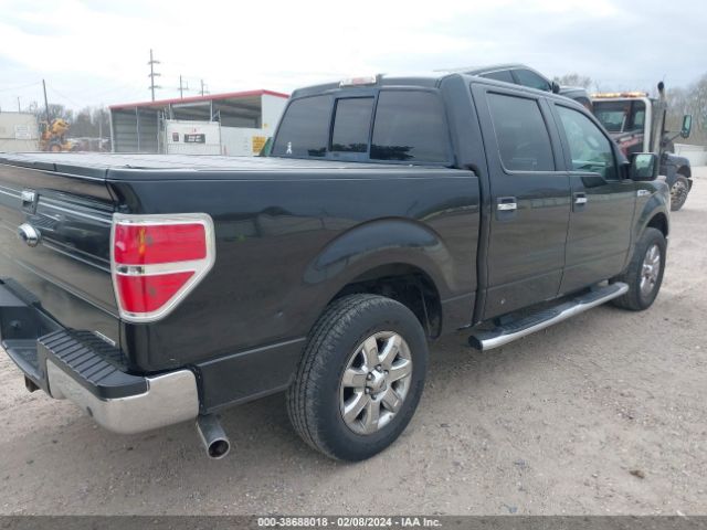 Photo 5 VIN: 1FTFW1CF3EKE94672 - FORD F-150 