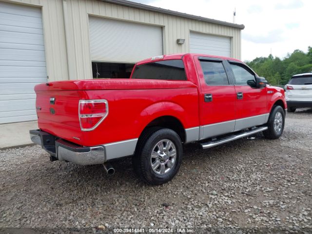 Photo 3 VIN: 1FTFW1CF4BFC43549 - FORD F-150 