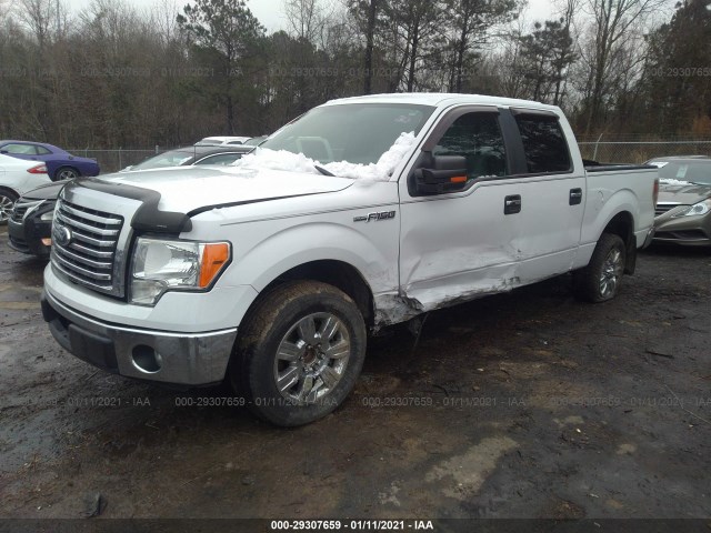 Photo 1 VIN: 1FTFW1CF4BFD02759 - FORD F-150 