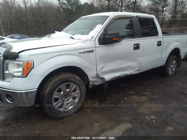 Photo 5 VIN: 1FTFW1CF4BFD02759 - FORD F-150 