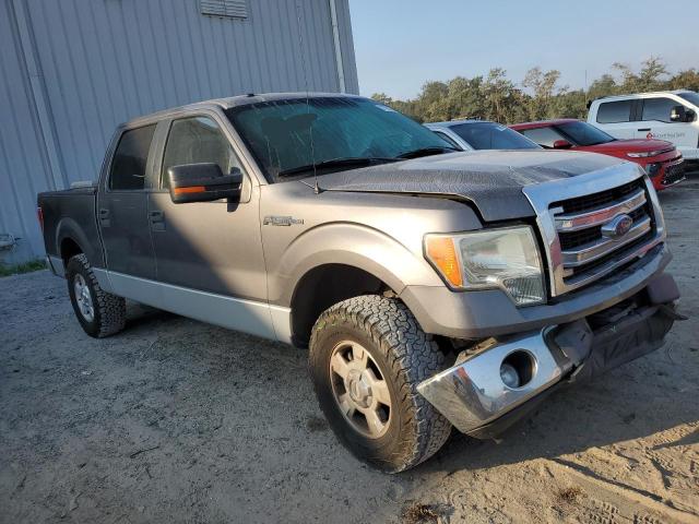 Photo 3 VIN: 1FTFW1CF4DFD08807 - FORD F150 SUPER 