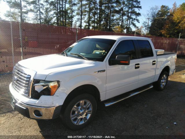 Photo 1 VIN: 1FTFW1CF5BFB70255 - FORD F-150 