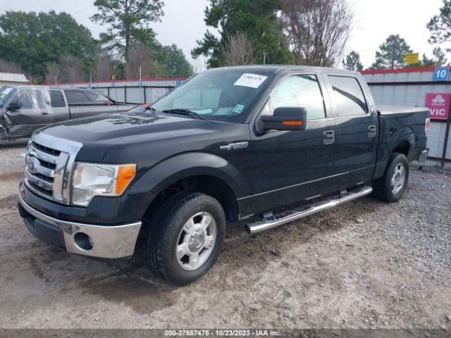 Photo 1 VIN: 1FTFW1CF5CKD99592 - FORD F-150 