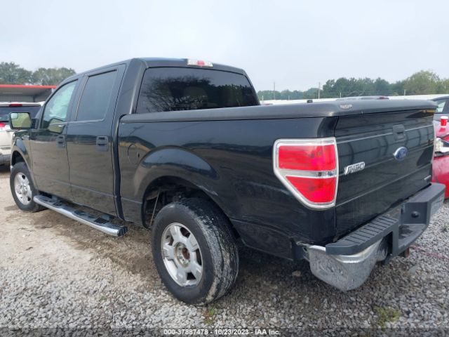 Photo 5 VIN: 1FTFW1CF5CKD99592 - FORD F-150 