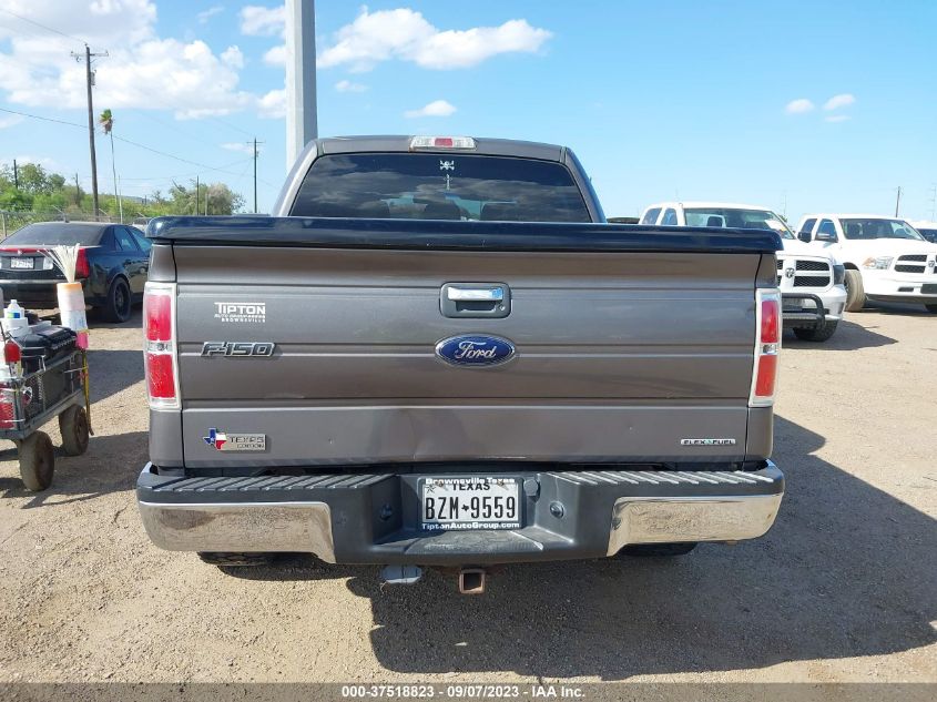 Photo 15 VIN: 1FTFW1CF5DKE44144 - FORD F-150 