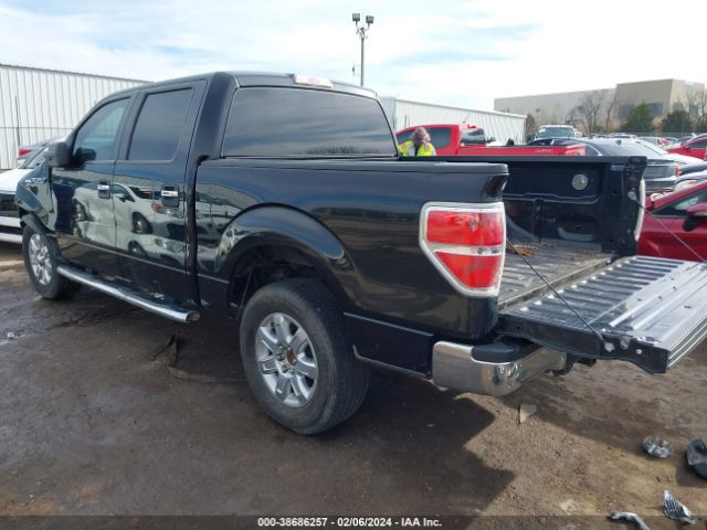 Photo 2 VIN: 1FTFW1CF5DKG47843 - FORD F-150 