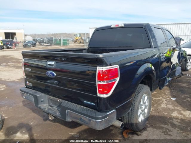 Photo 3 VIN: 1FTFW1CF5DKG47843 - FORD F-150 