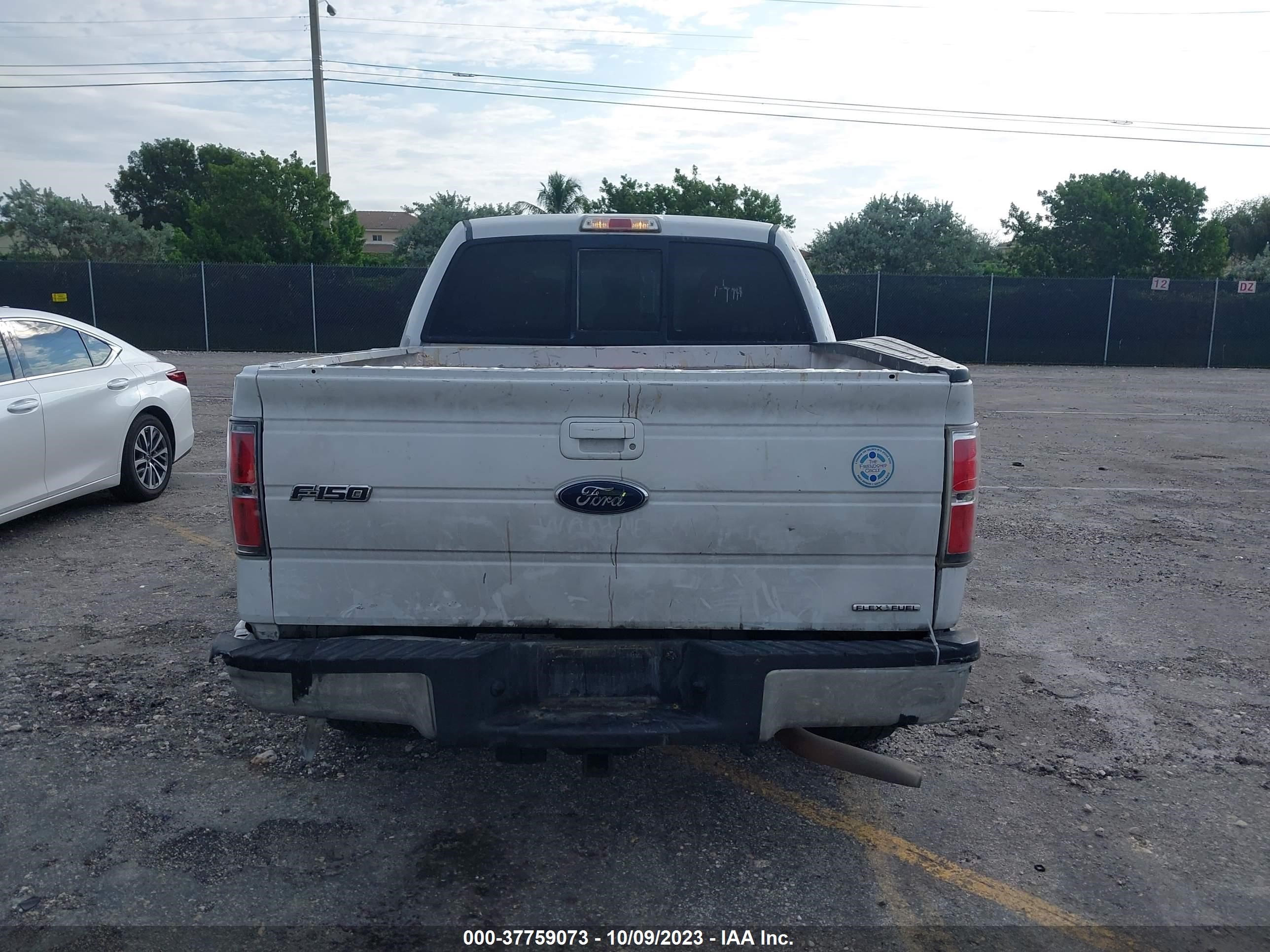 Photo 15 VIN: 1FTFW1CF5EKE85729 - FORD F-150 