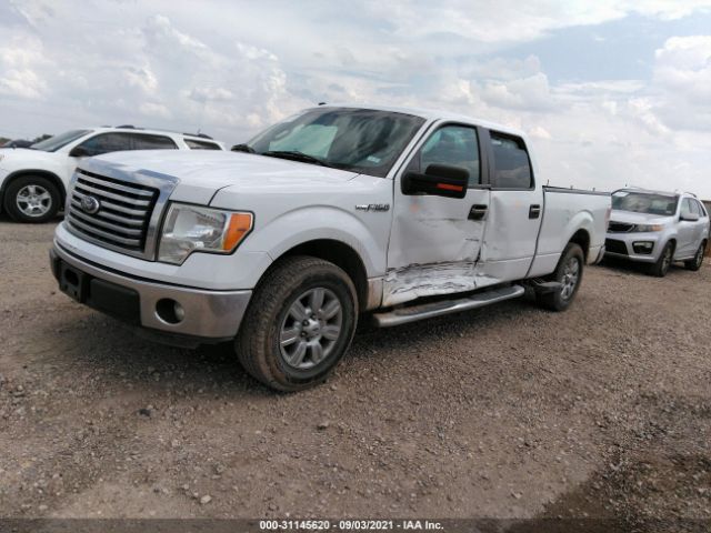 Photo 1 VIN: 1FTFW1CF6BFC76746 - FORD F-150 