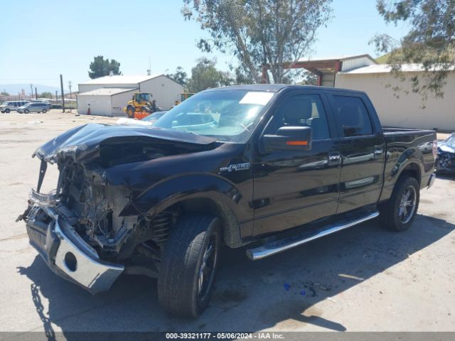 Photo 1 VIN: 1FTFW1CF6DFB30981 - FORD F-150 