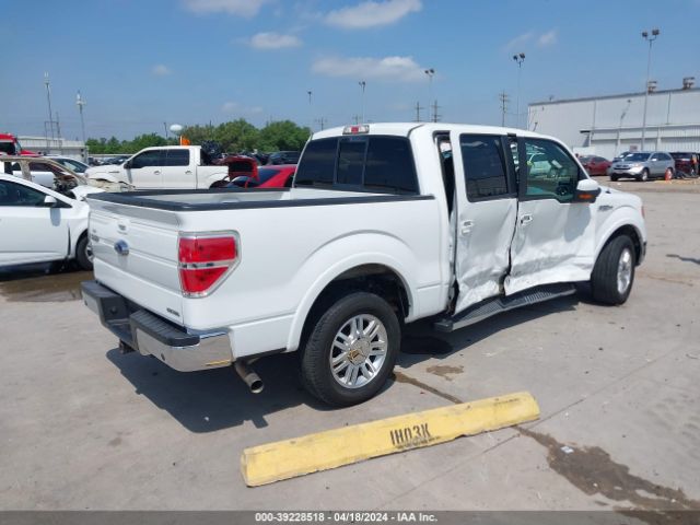 Photo 3 VIN: 1FTFW1CF6DKF25038 - FORD F150 