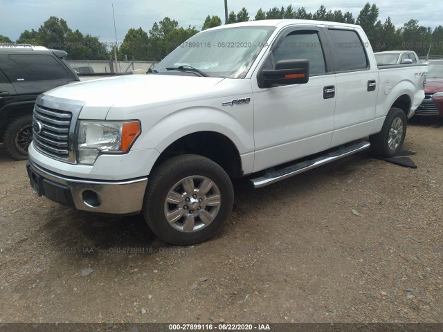 Photo 1 VIN: 1FTFW1CF7BFA03654 - FORD F-150 