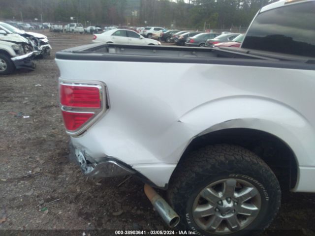 Photo 5 VIN: 1FTFW1CF7DKG40571 - FORD F-150 