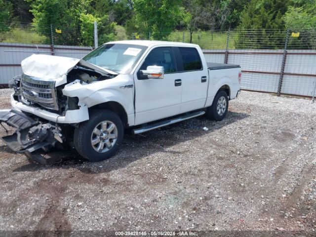 Photo 1 VIN: 1FTFW1CF7EFC70488 - FORD F150 