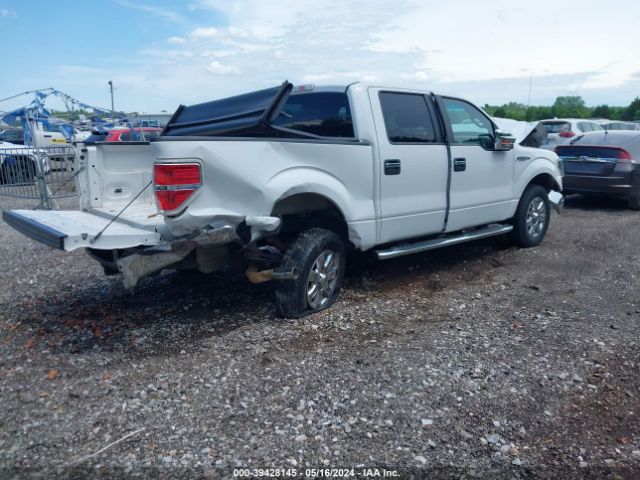 Photo 3 VIN: 1FTFW1CF7EFC70488 - FORD F150 