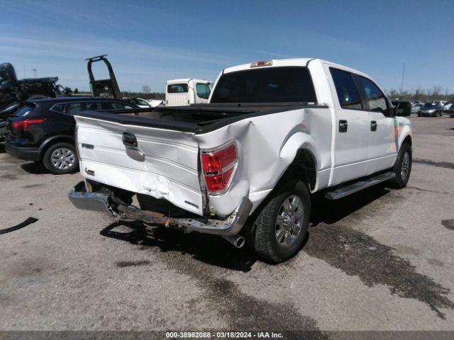 Photo 3 VIN: 1FTFW1CF8BFC38399 - FORD F-150 