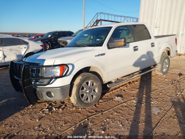 Photo 1 VIN: 1FTFW1CF8DKD72873 - FORD F-150 