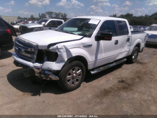 Photo 1 VIN: 1FTFW1CF8EKD01559 - FORD F-150 