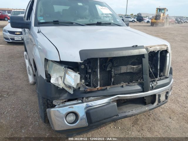 Photo 5 VIN: 1FTFW1CF8EKF80303 - FORD F-150 