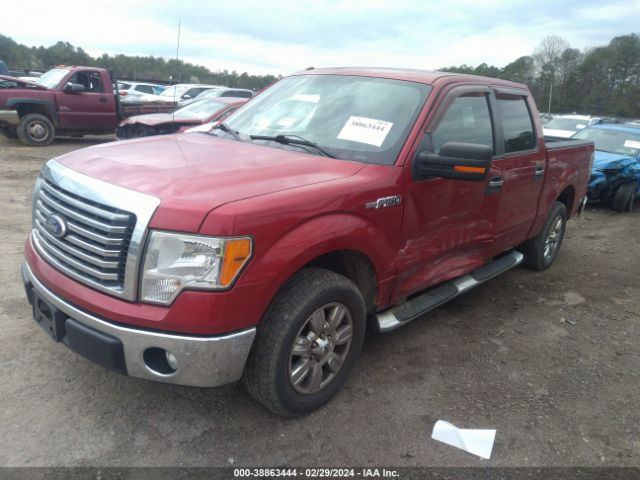 Photo 1 VIN: 1FTFW1CF9BFA63869 - FORD F-150 