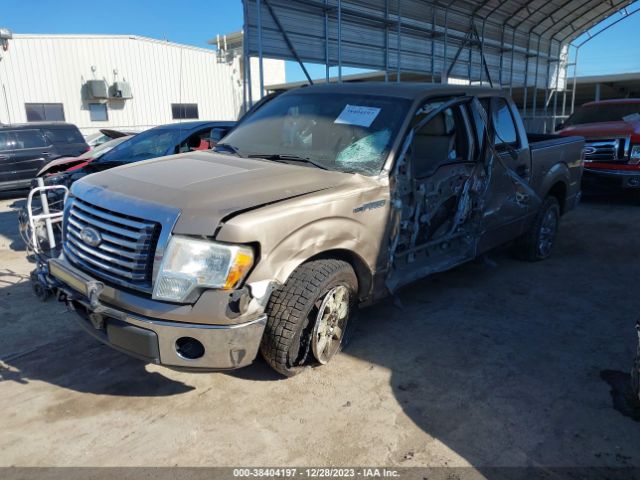 Photo 1 VIN: 1FTFW1CF9BKD47185 - FORD F-150 