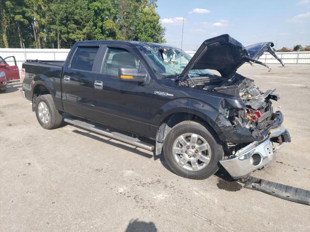 Photo 3 VIN: 1FTFW1CF9DFA64958 - FORD F-150 