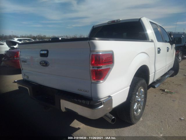 Photo 3 VIN: 1FTFW1CF9EKG46275 - FORD F-150 