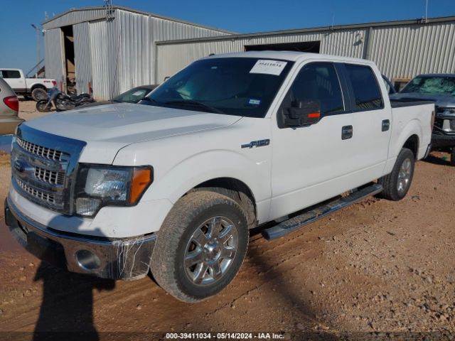 Photo 1 VIN: 1FTFW1CFXEFC09796 - FORD F150 