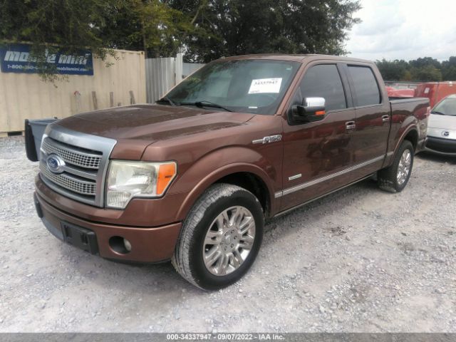 Photo 1 VIN: 1FTFW1CT1BFB54768 - FORD F-150 