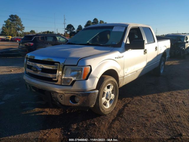 Photo 1 VIN: 1FTFW1CT2DFA62040 - FORD F-150 