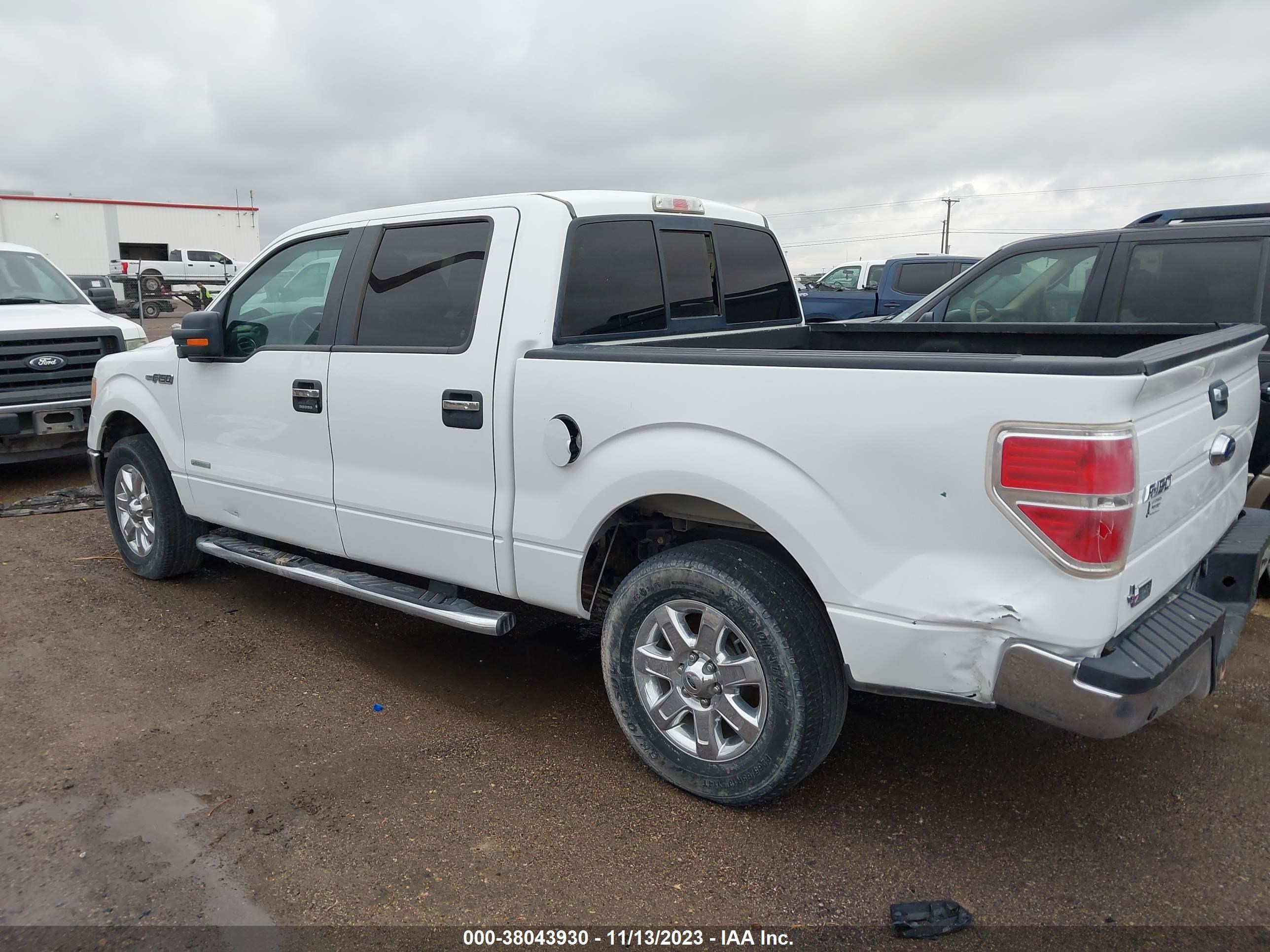 Photo 13 VIN: 1FTFW1CT4DKE38762 - FORD F-150 