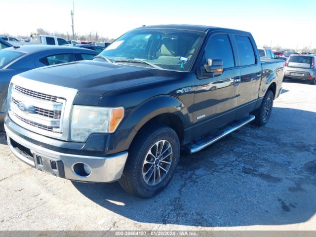 Photo 1 VIN: 1FTFW1CT4DKG23197 - FORD F-150 