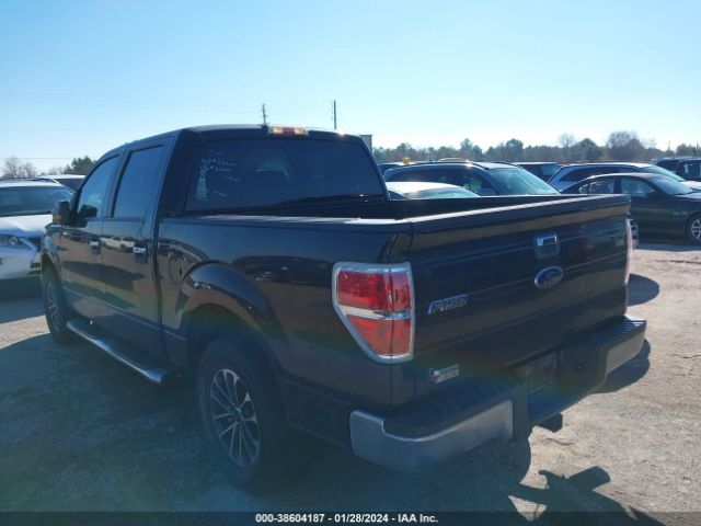 Photo 2 VIN: 1FTFW1CT4DKG23197 - FORD F-150 